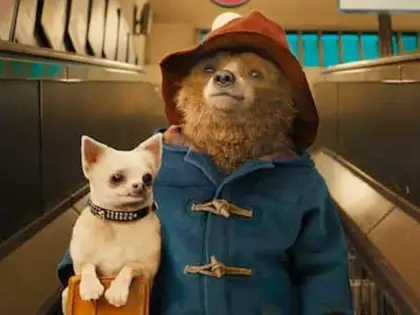 Ayı Paddington 2 2017 yılında geliyor