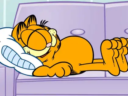 Garfield Filmi Geliyor