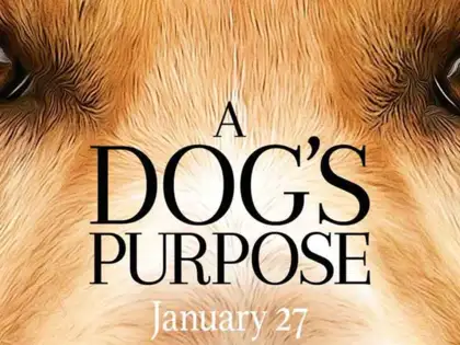 A Dog’s Purpose Filminden Çok Güzel Bir Fragman