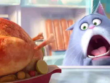 The Secret Life of Pets 2 Filmi 2018 Yılında Gelecek