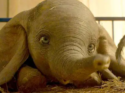 Dumbo Fragmanı Yayınlandı