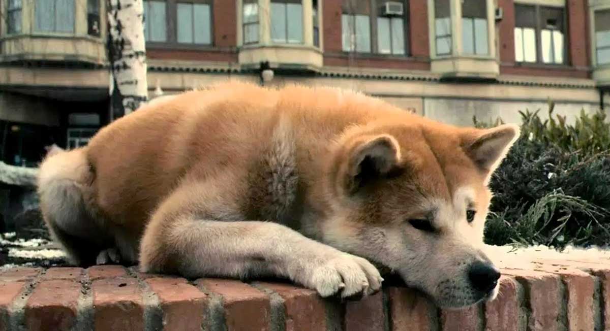 Bunalımdayken İzlememeniz Gereken 20 Film