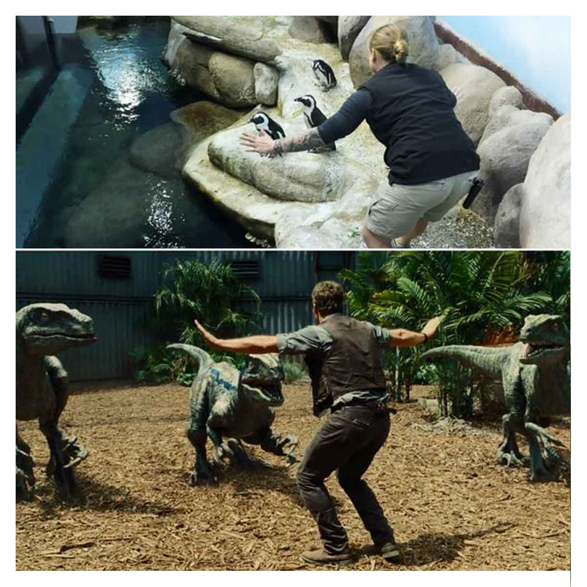 Jurassic Park Etkisini Göstermeye Başladı