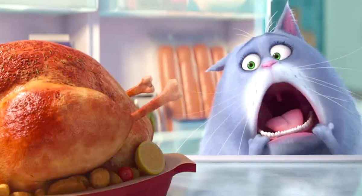 The Secret Life of Pets 2 Filmi 2018 Yılında Gelecek